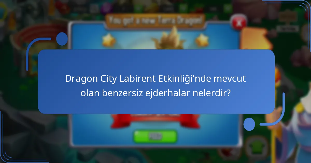Dragon City Labirent Etkinliği’nin mekanikleri nelerdir?