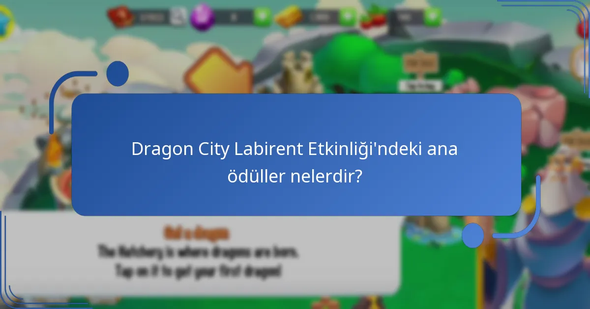 Dragon City Labirent Etkinliği’ne nasıl katılırım?