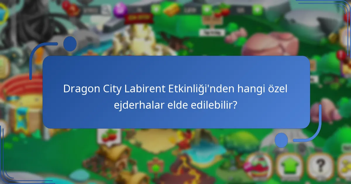 Labirent Etkinliği’nde kullanılan etkinlik parası nedir?