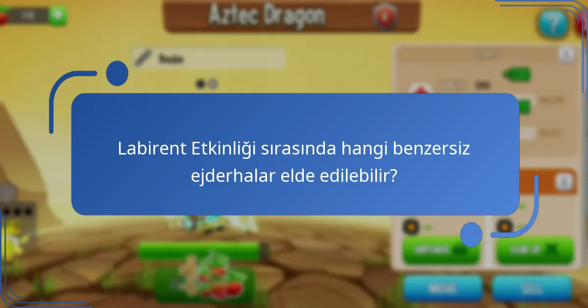 Labirent Etkinliği’nde ödülleri maksimize etmek için hangi stratejiler kullanılabilir?