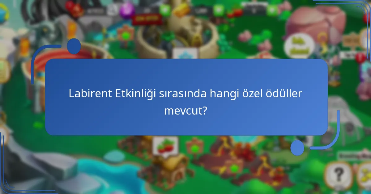 Labirent Etkinliği nasıl çalışır?