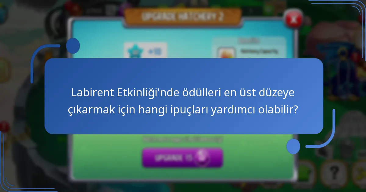 Labirent ödülleri diğer etkinlik ödülleriyle nasıl karşılaştırılır?
